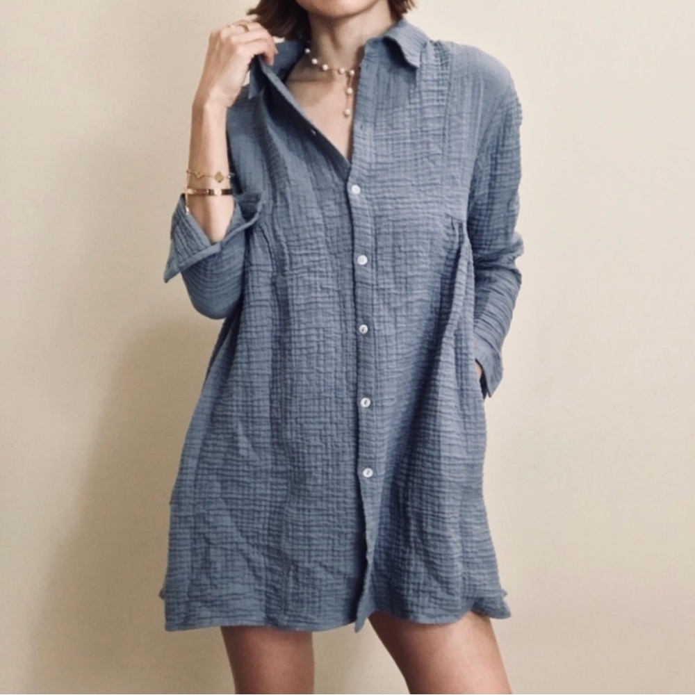 Zara Blue-Grey Button-Up Mini Dress